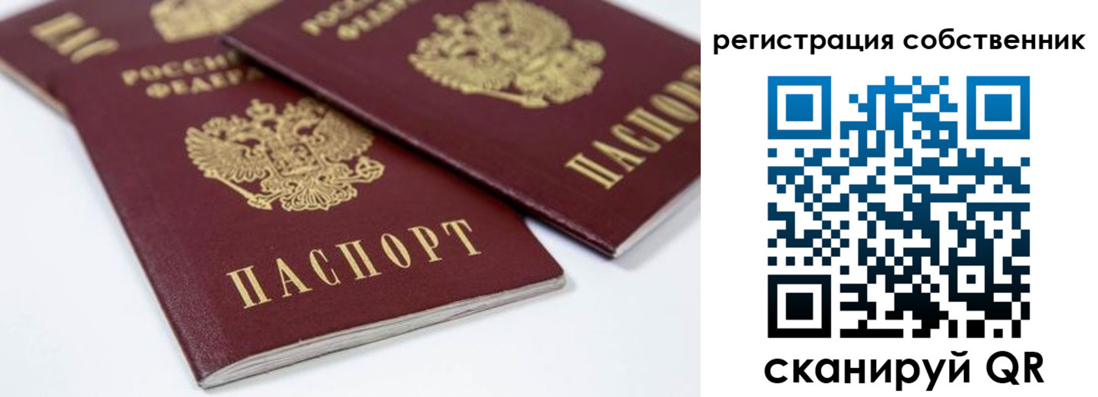 прописка для школы в Балее